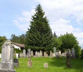 Foto vom Judenfriedhof in Buttenwiesen